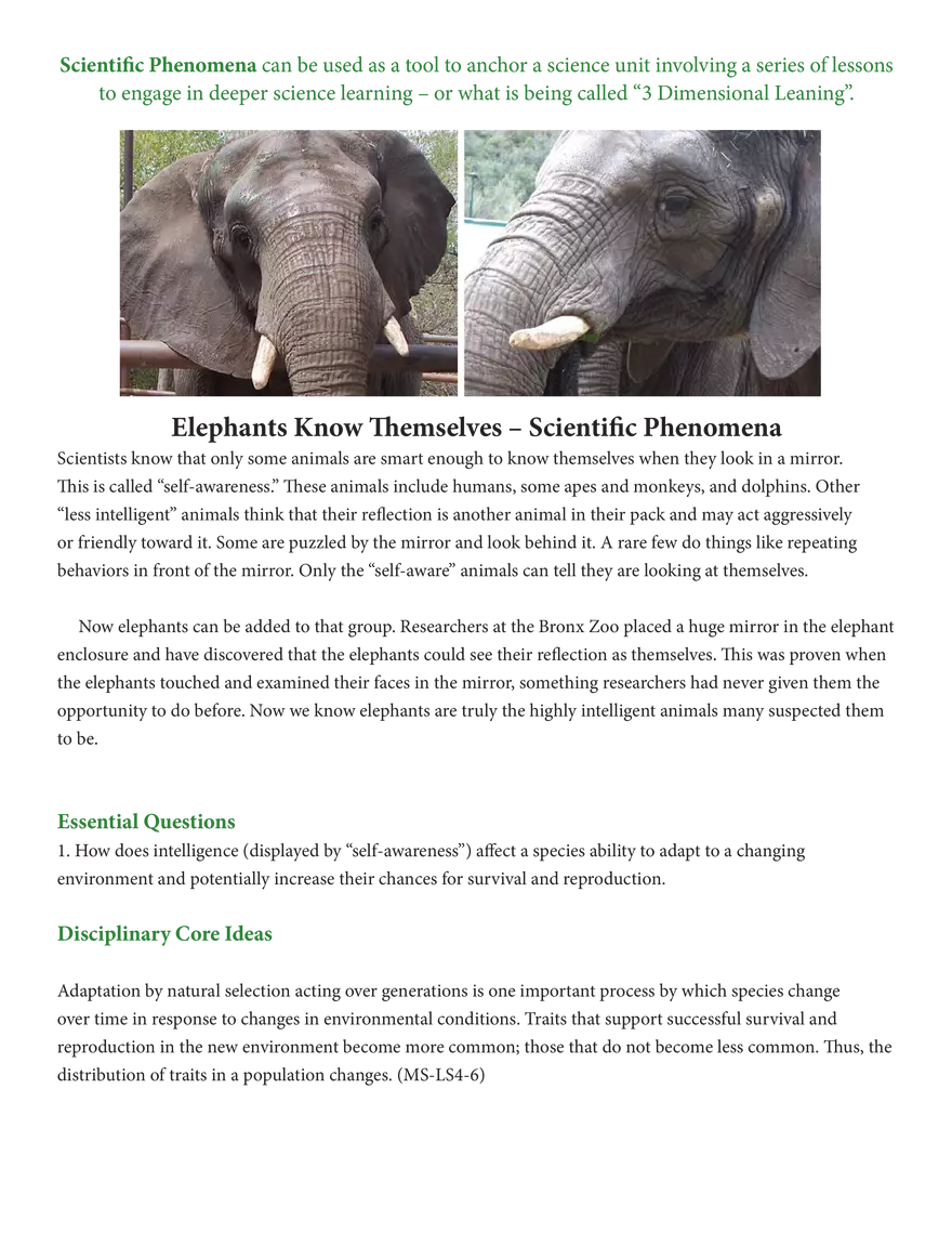 Elephants Know Themselves – Scientific Phenomena - Page 1