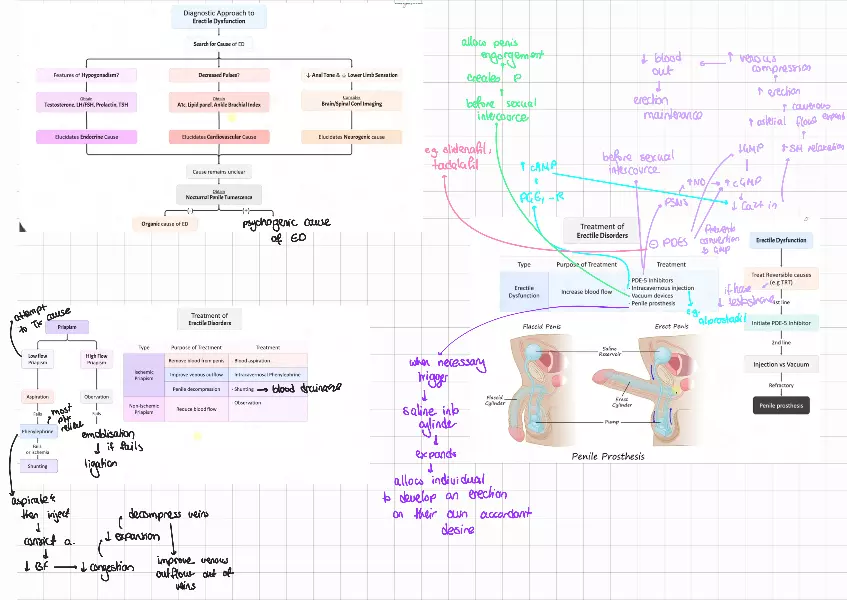 Erectile Disorders - Page 2