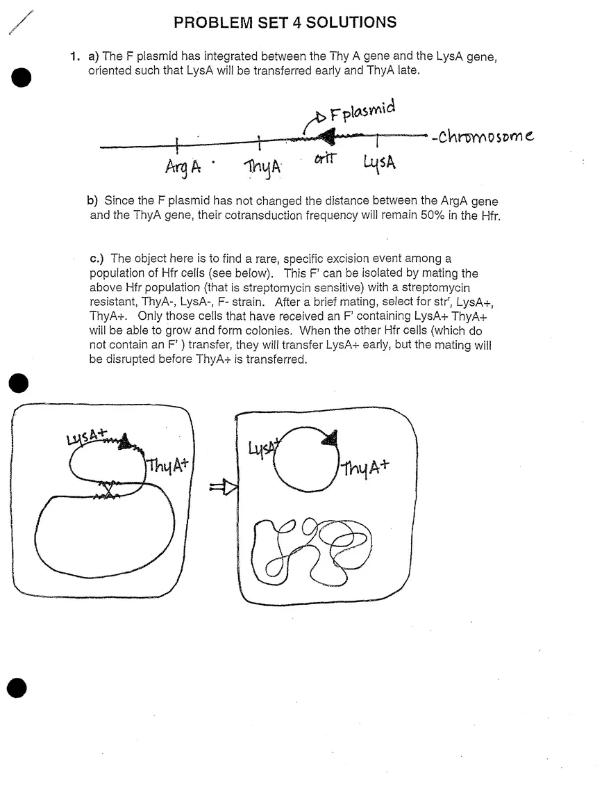 7.03 Problem Set 4 Solutions - Page 1