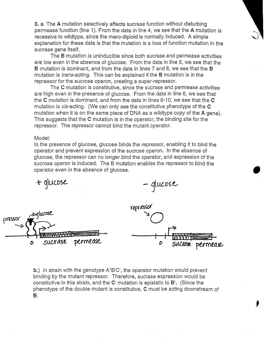 7.03 Problem Set 4 Solutions - Page 4