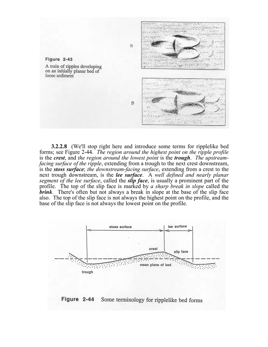 Bed Configurations and Deposition - Page 39