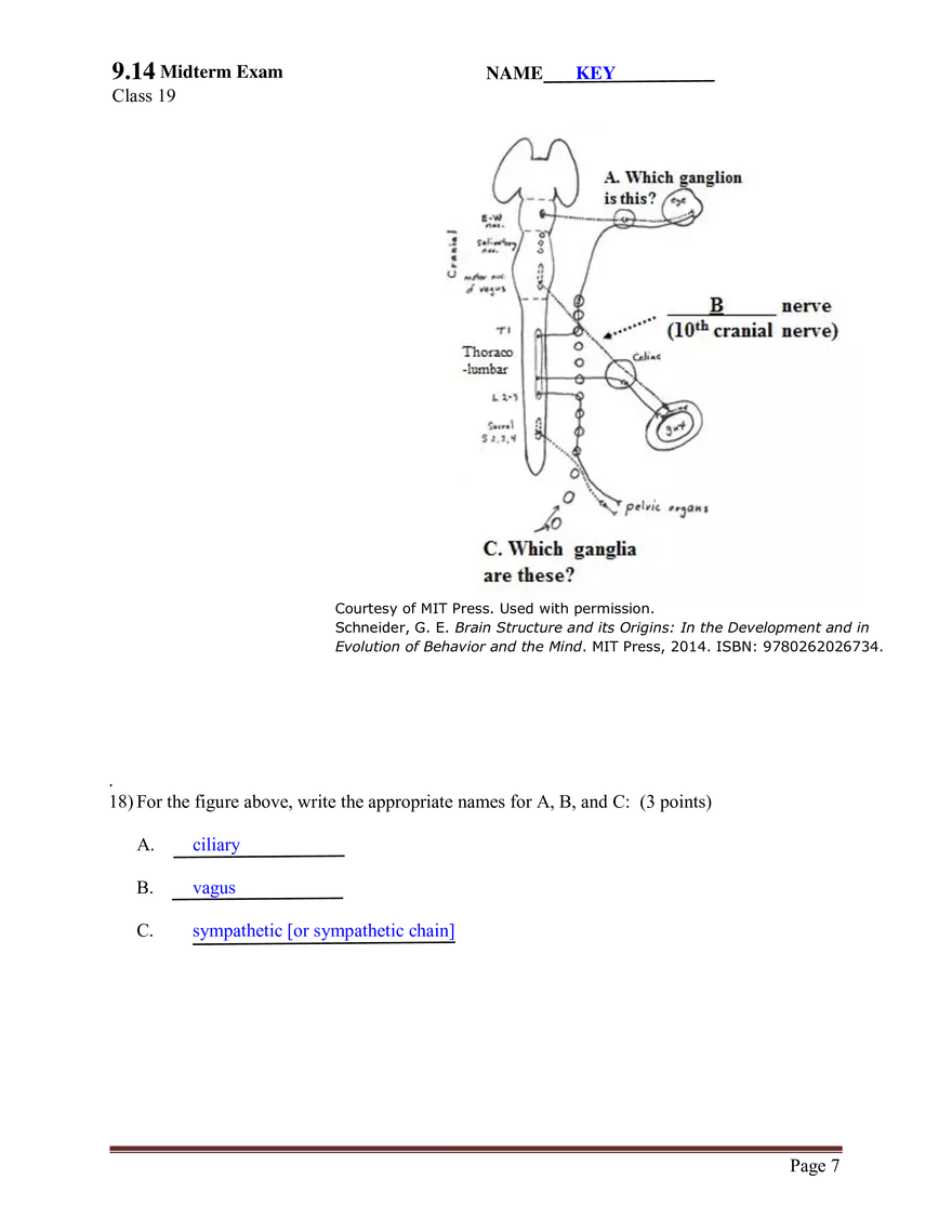 9.14 Brain Structure and Its Origins, Midterm Exam (Key) - Page 7