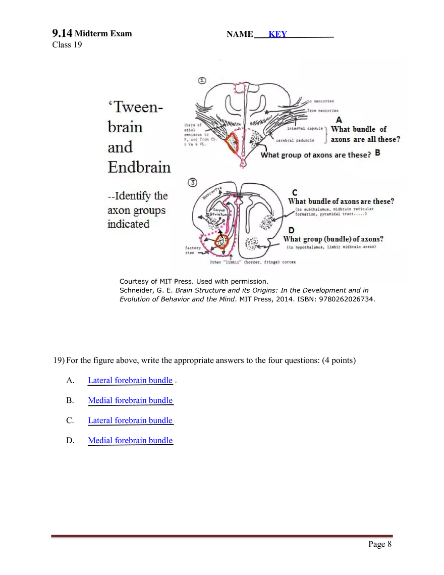 9.14 Brain Structure and Its Origins, Midterm Exam (Key) - Page 8