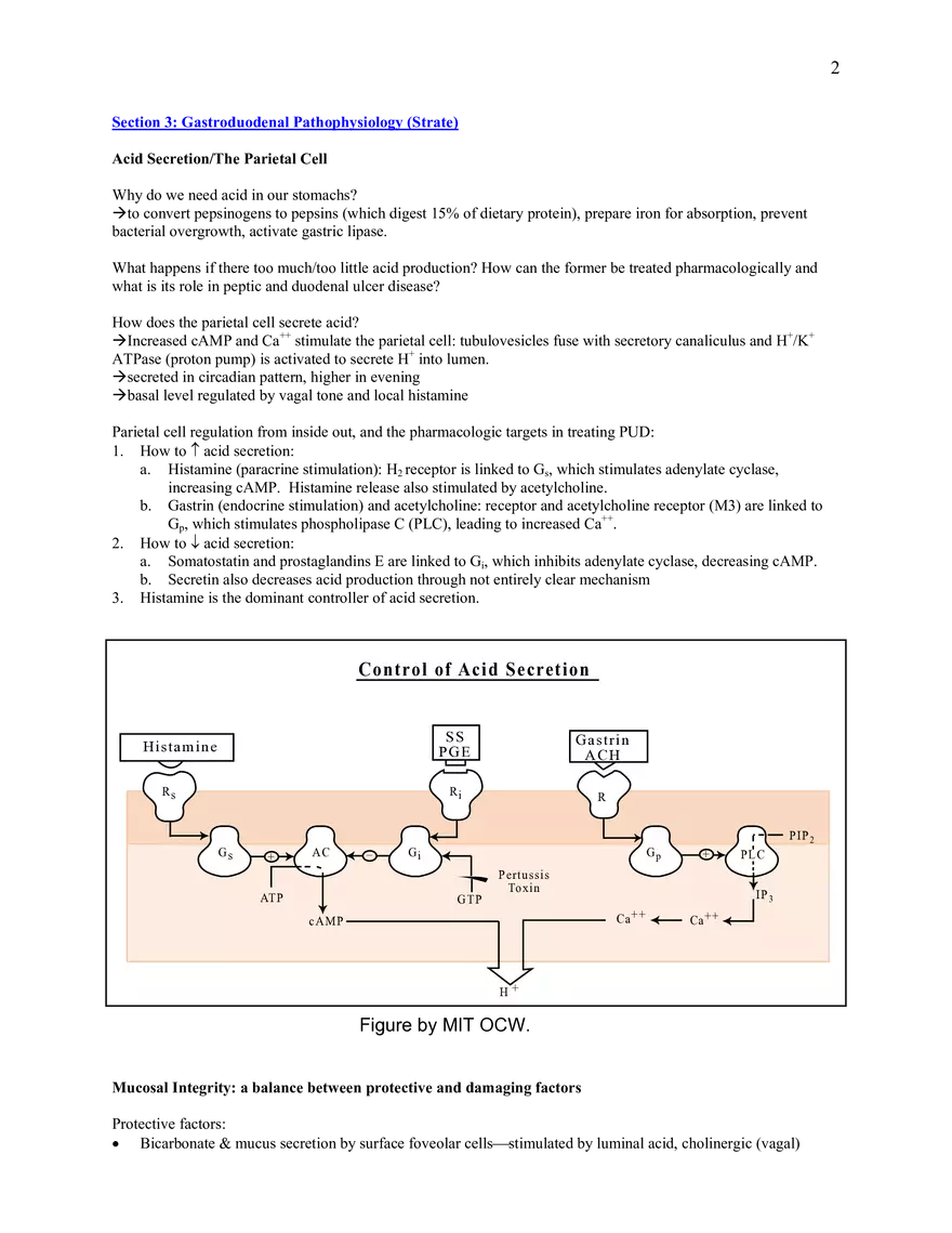 HST 121 Gastrointestinal Pathophysiology, Midterm Review Topics (5.0) - Page 2