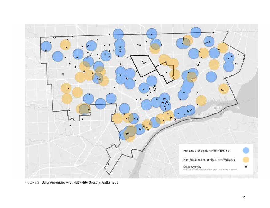Food Access Financing in Detroit - Page 7
