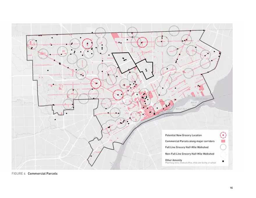 Food Access Financing in Detroit - Page 8