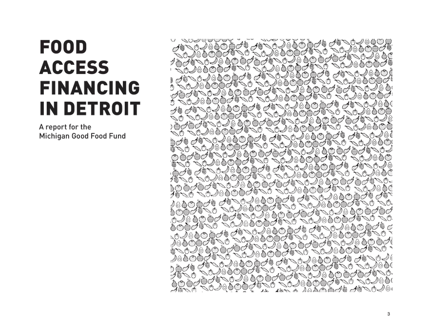 Food Access Financing in Detroit - Page 13