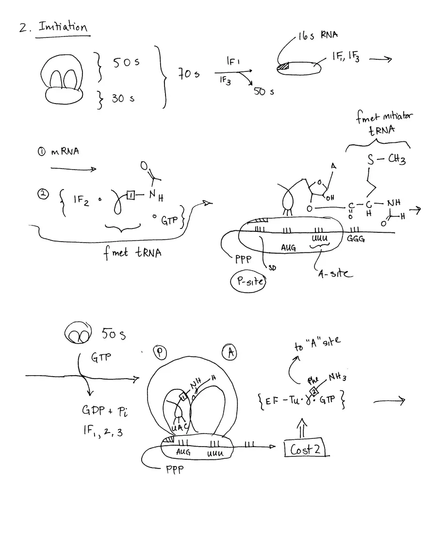 Decoding Information II (Translation) - Page 8