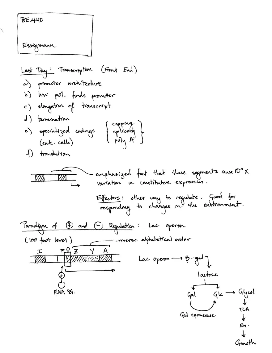 Decoding Information II (Translation) - Page 1
