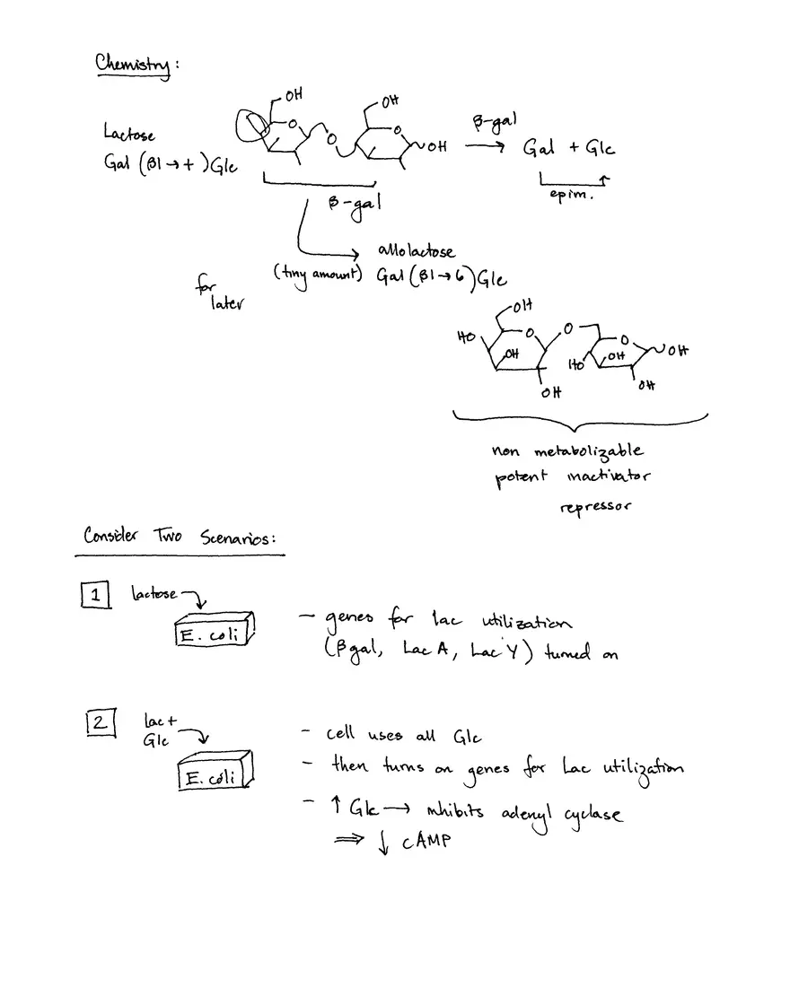 Decoding Information II (Translation) - Page 2