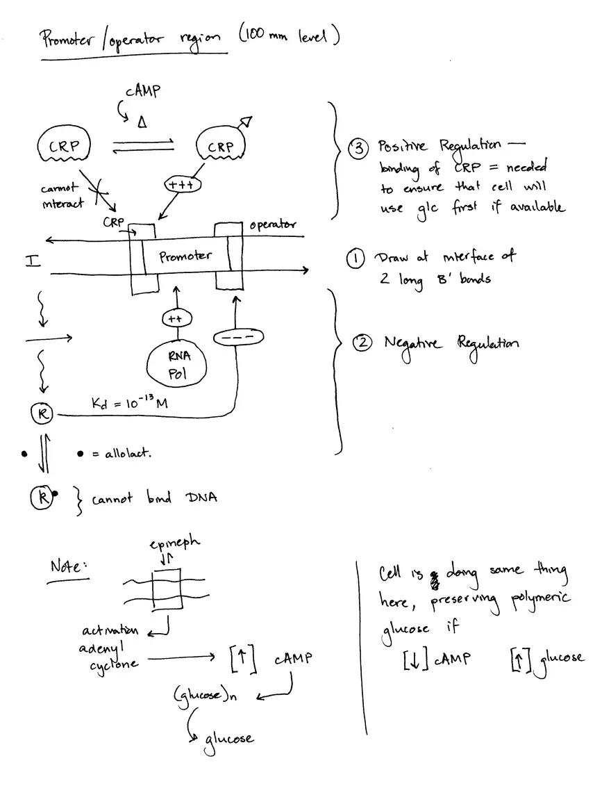 Decoding Information II (Translation) - Page 3