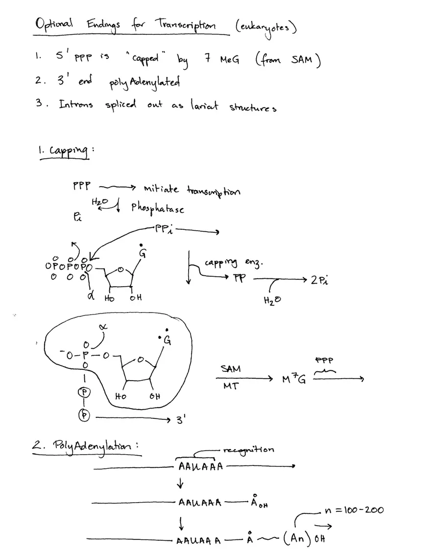 Decoding Information II (Translation) - Page 4