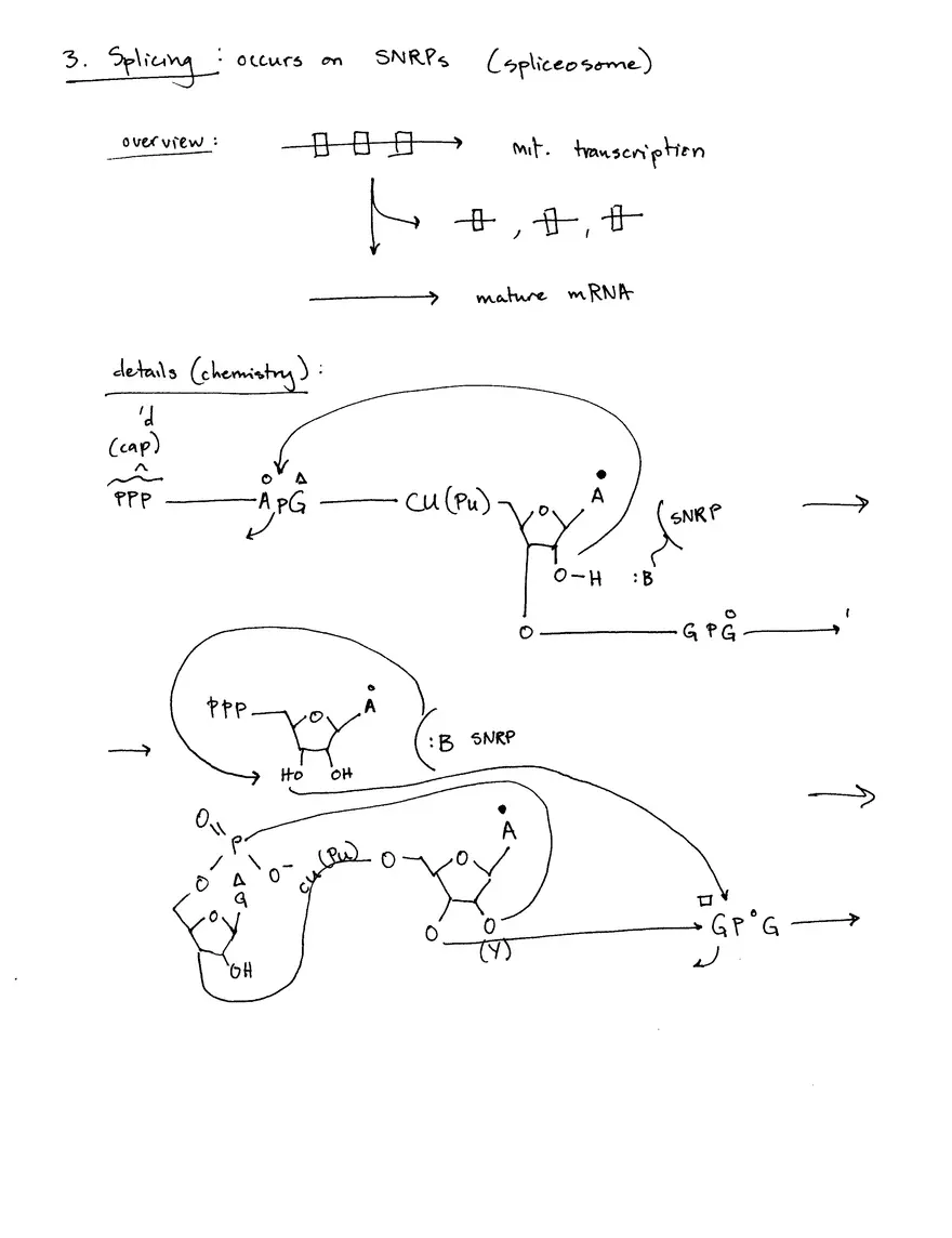 Decoding Information II (Translation) - Page 5
