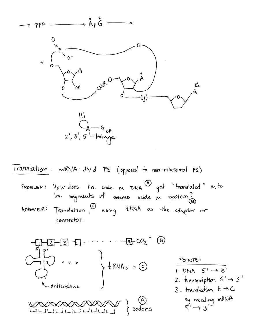 Decoding Information II (Translation) - Page 6