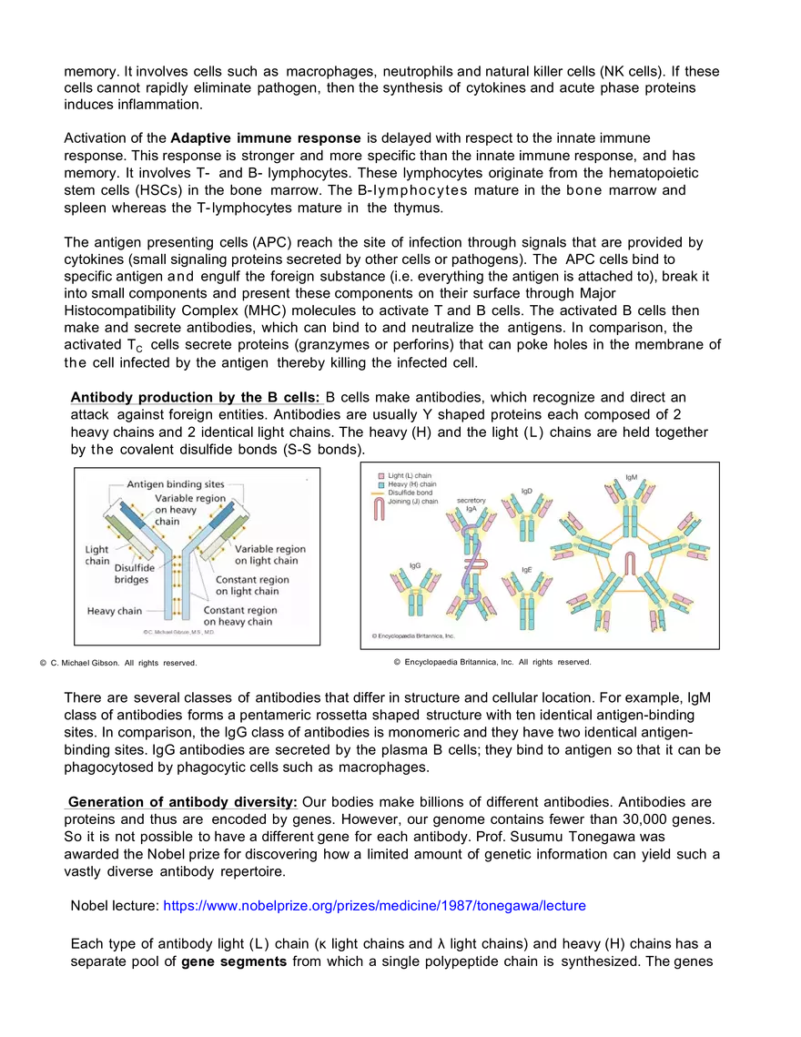 7.016 Introductory Biology: Recitation 20 - Page 2