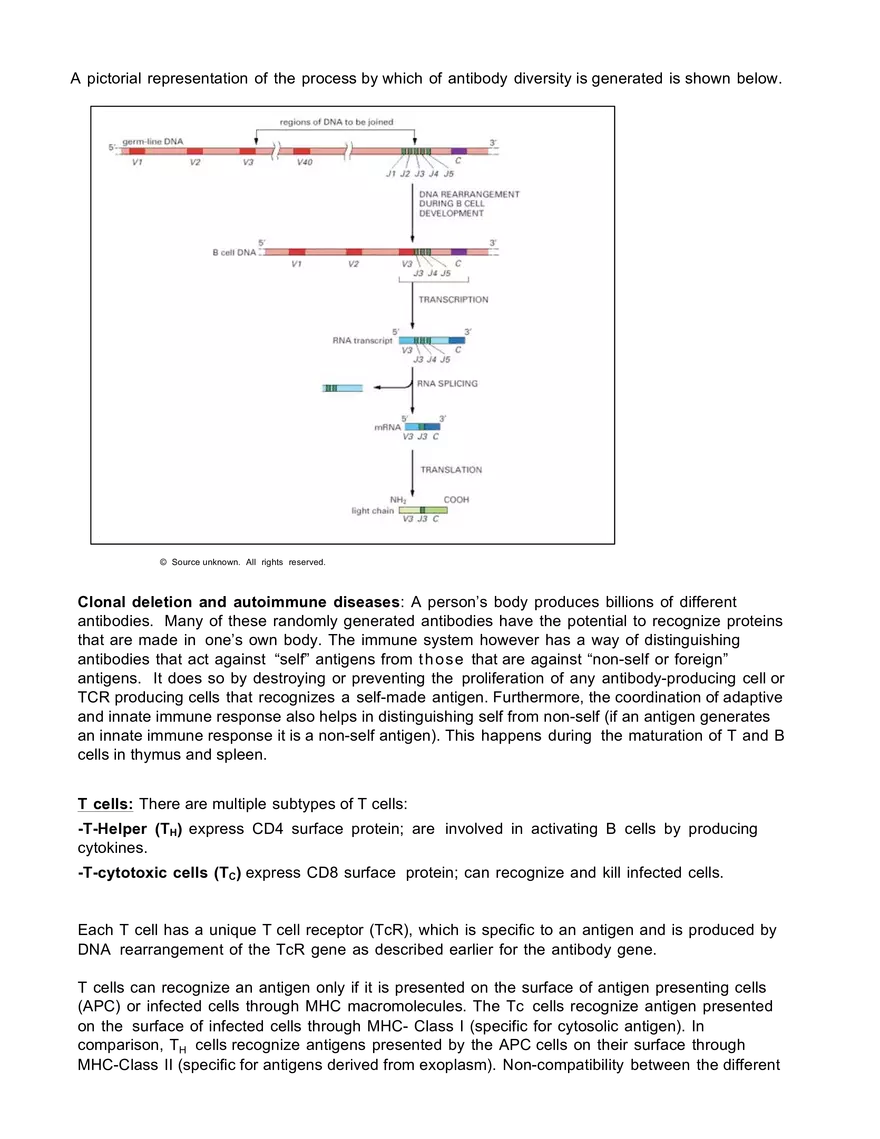 7.016 Introductory Biology: Recitation 20 - Page 4