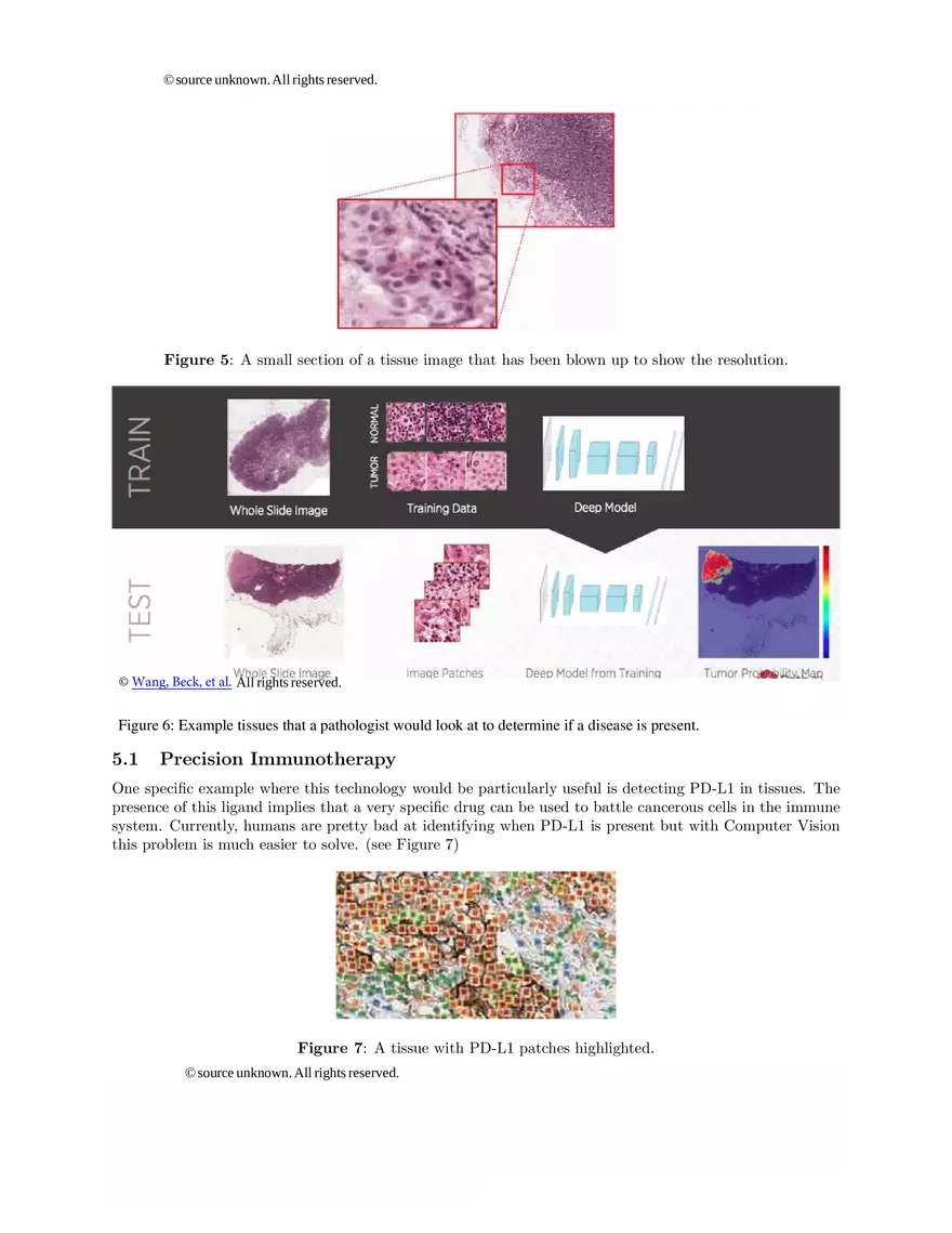 Lecture 12: Machine Learning for Pathology - Page 4