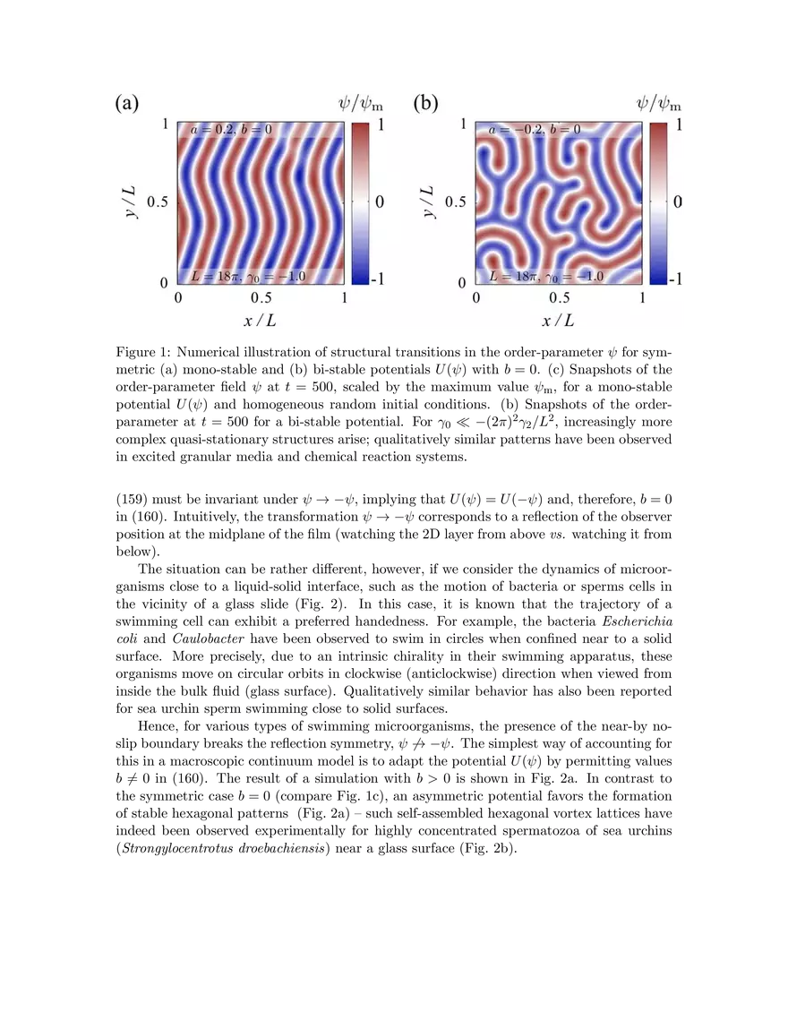 Lecture 7 Notes: Linear Stability Analysis and Pattern Formation - Page 5