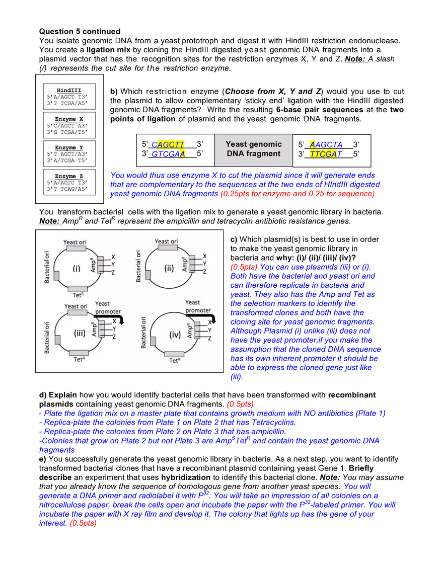 7.016 Introductory Biology: Assignment 4 Solutions - Page 6