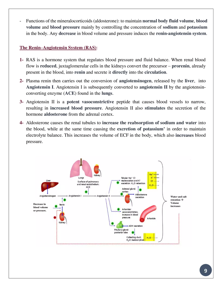 Theadrennal Glands, Their Parts, and What Each Partsecretes - Page 10