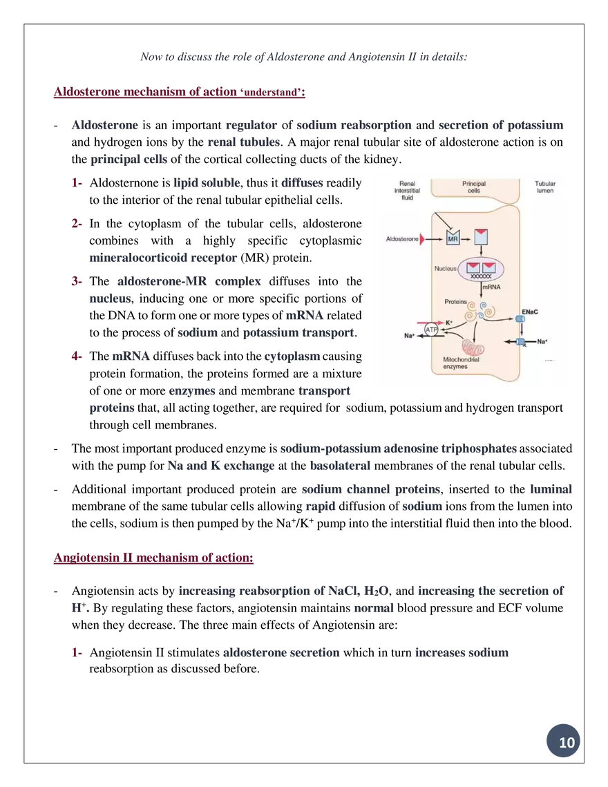 Theadrennal Glands, Their Parts, and What Each Partsecretes - Page 11