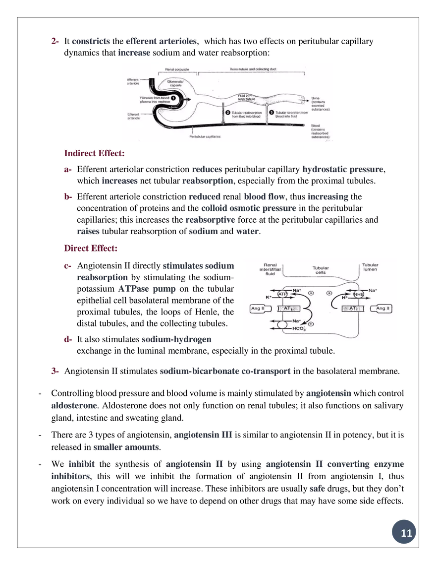 Theadrennal Glands, Their Parts, and What Each Partsecretes - Page 12