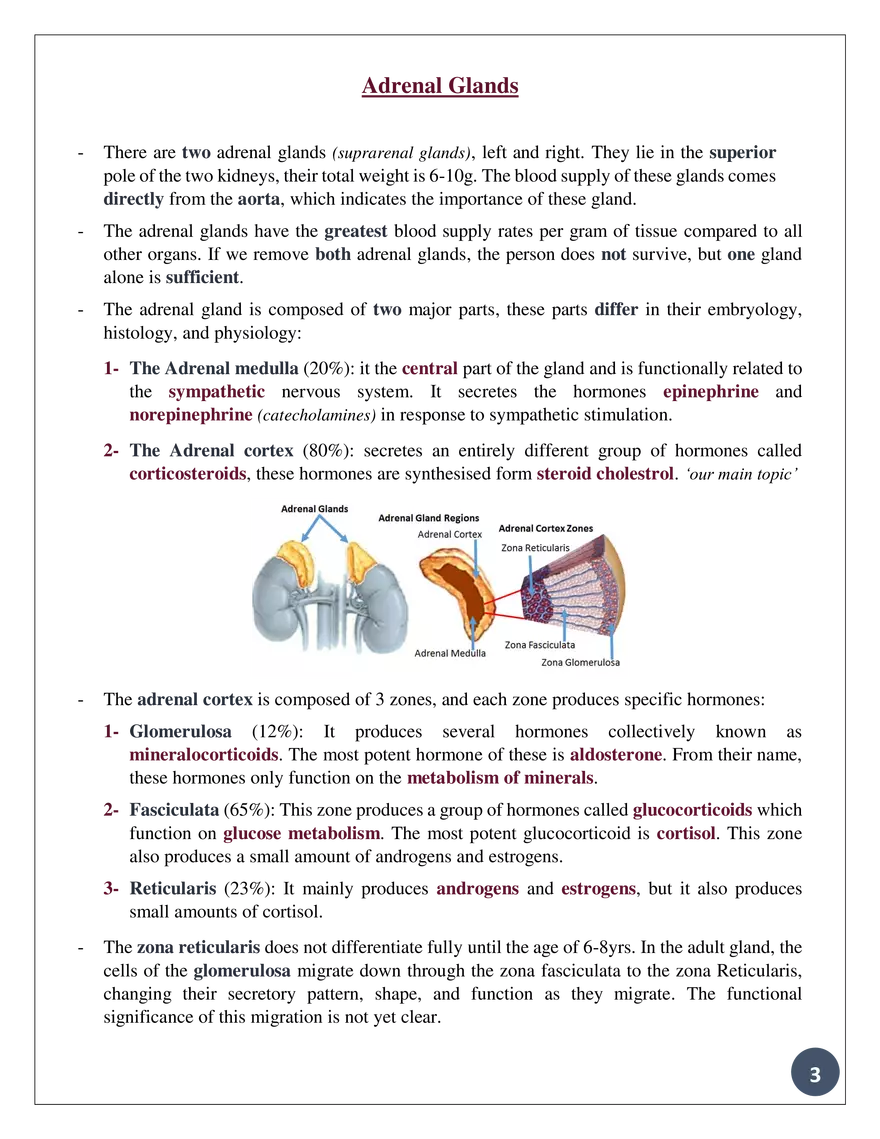 Theadrennal Glands, Their Parts, and What Each Partsecretes - Page 2