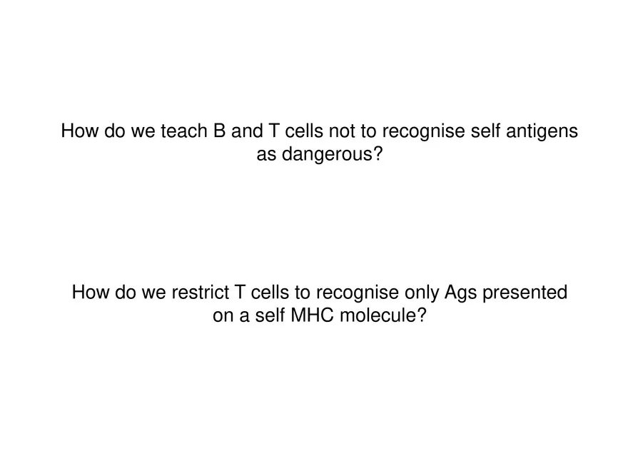 Self Tolerance and MHC Restriction - Page 2