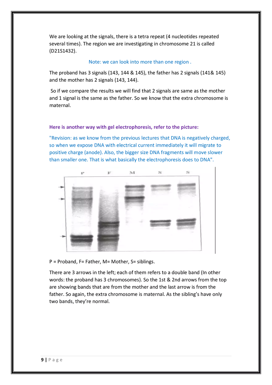Nondisjunction - Page 8