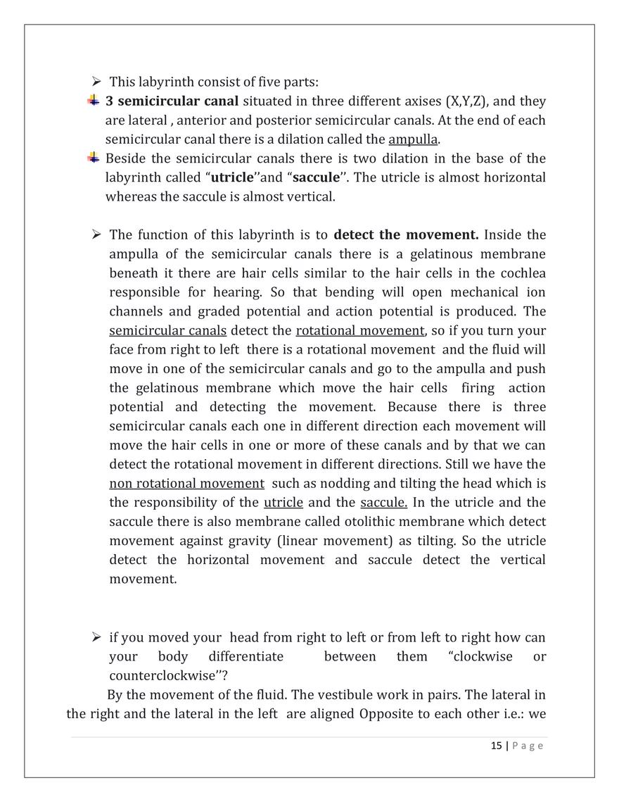 The Auditory System - Page 7