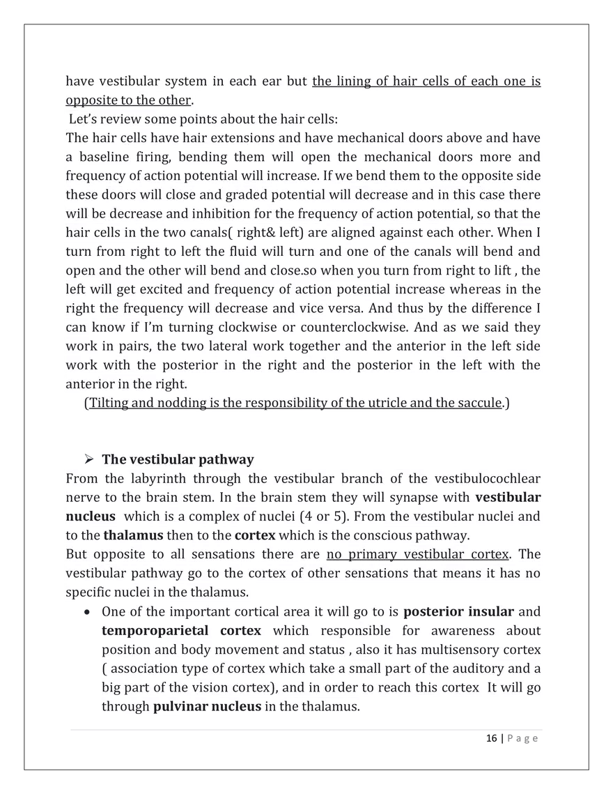 The Auditory System - Page 8