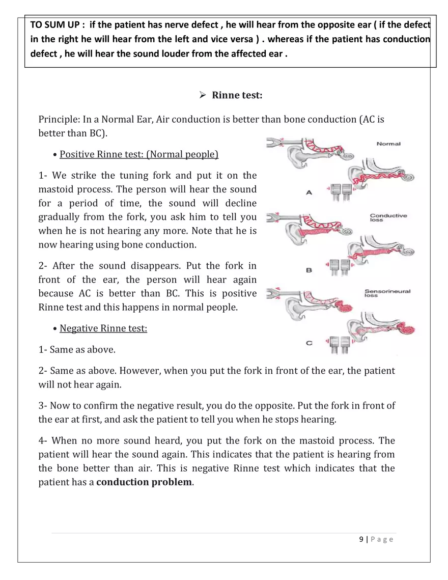 The Auditory System - Page 16