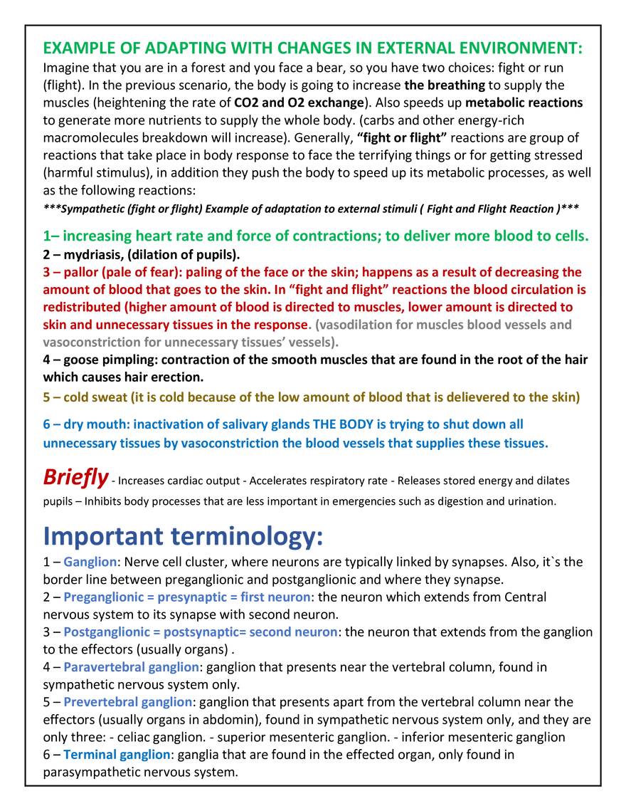 Autonomic Nervous System Lecture - Page 12