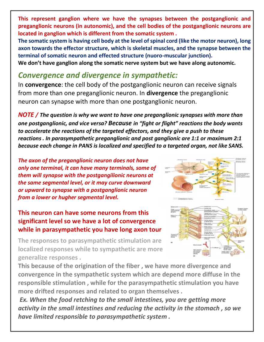 Autonomic Nervous System Lecture - Page 14