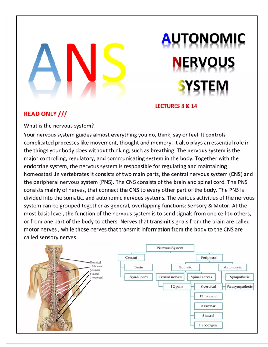 Autonomic Nervous System Lecture - Page 1