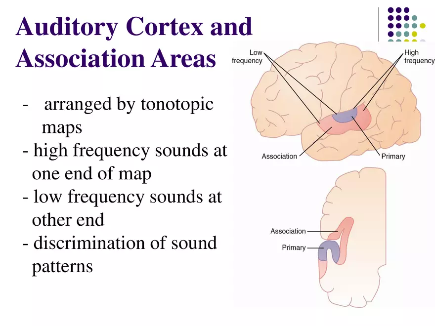 Auditory Sensation (Hearing) - Page 34