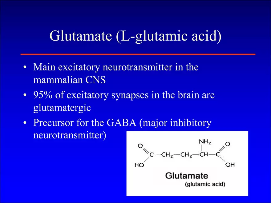 Fast Neurotransmitteres - Page 2