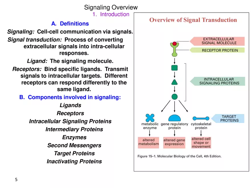 Signal Transduction - Page 9