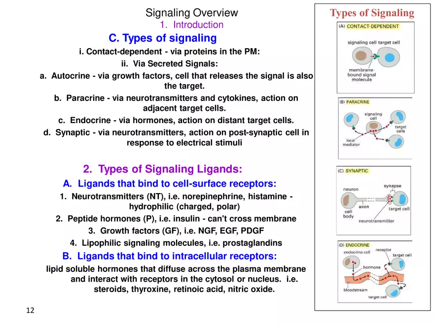 Signal Transduction - Page 3