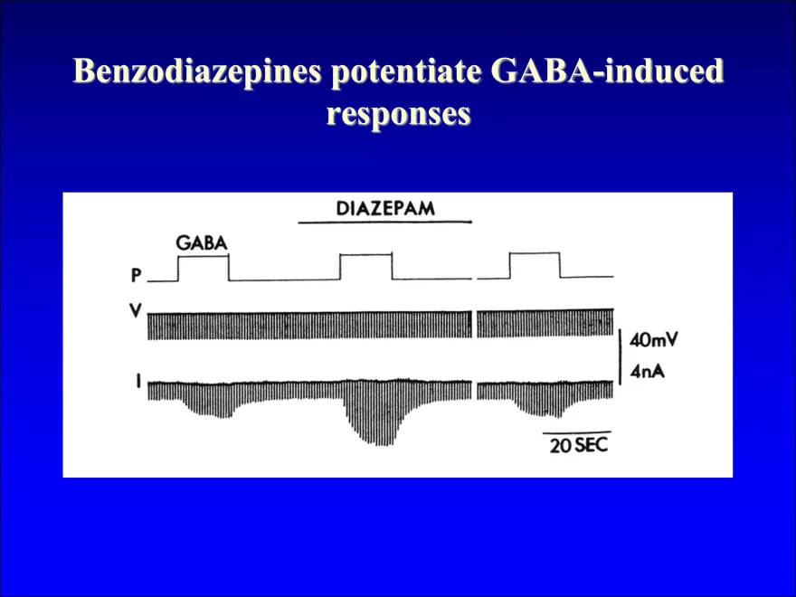 Synapses and Neurotransmitters - Page 5