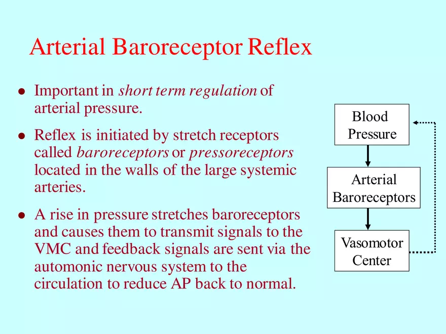 Blood Pressure Regulation - Page 8