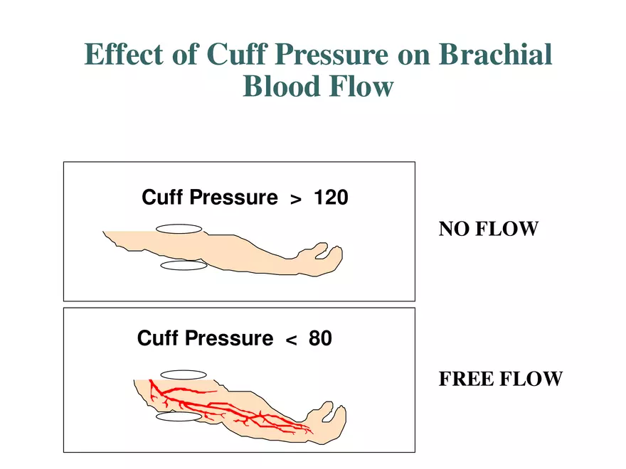 Blood Pressure Regulation - Page 22