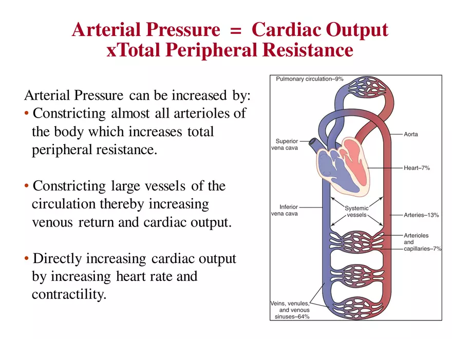 Blood Pressure Regulation - Page 27