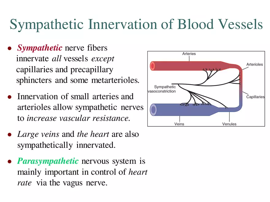 Blood Pressure Regulation - Page 4