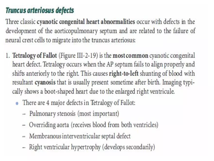 Truncus Arteriosus and Bulbus Cordis - Page 7