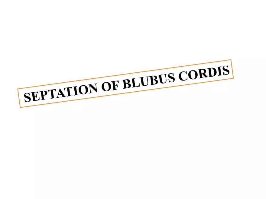Truncus Arteriosus and Bulbus Cordis - Page 26