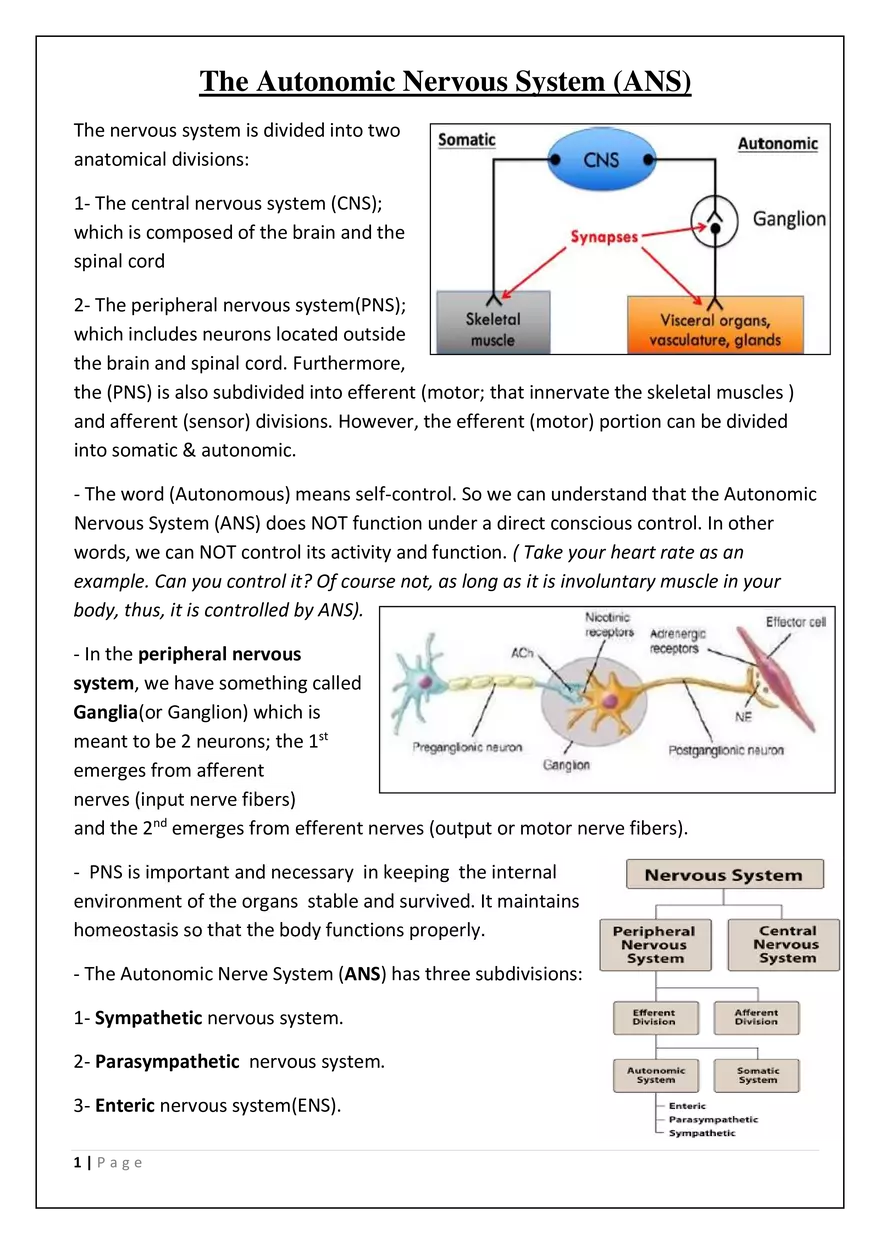 The Autonomic Nervous System (ANS) - Page 1