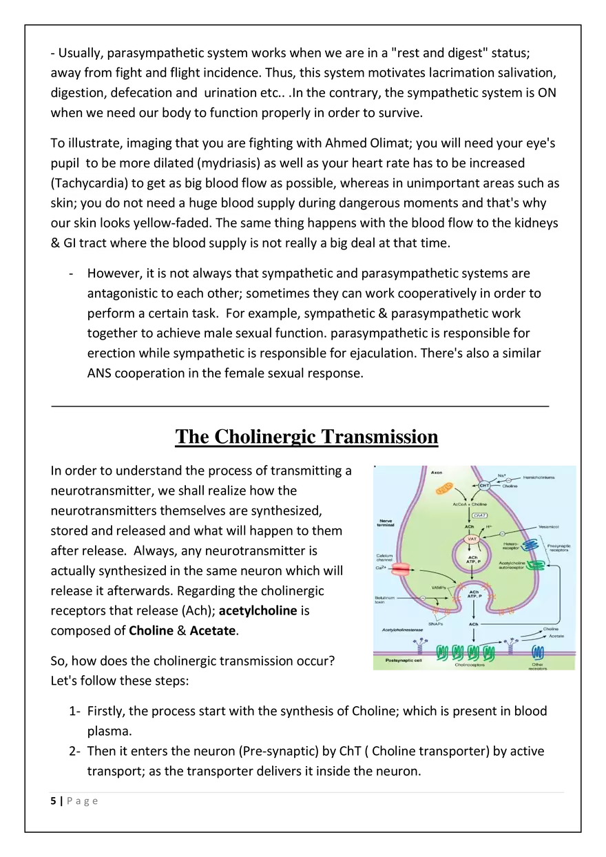 The Autonomic Nervous System (ANS) - Page 5
