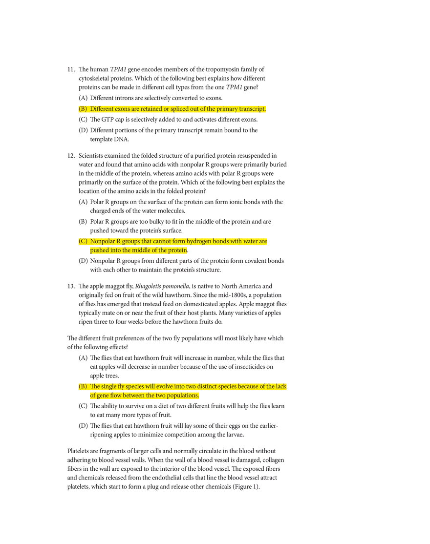 Biology Exam 2020 - Page 5