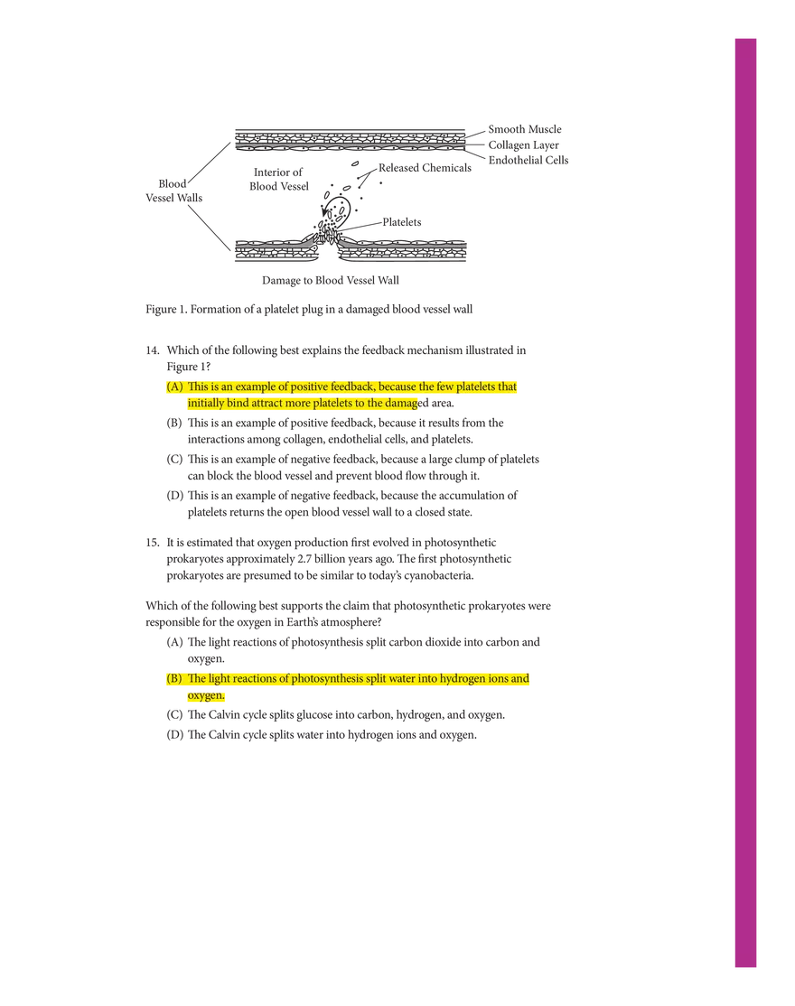 Biology Exam 2020 - Page 6